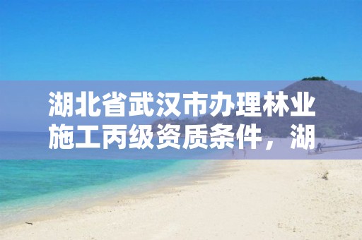 湖北省武汉市办理林业施工丙级资质条件，湖北省林业局二级单位
