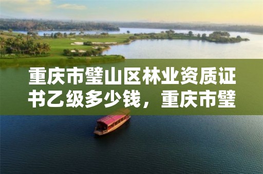 重庆市璧山区林业资质证书乙级多少钱,重庆市璧山区林业资质证书乙级多少钱一个