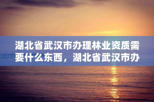 湖北省武汉市办理林业资质需要什么东西，湖北省武汉市办理林业资质需要什么东西材料