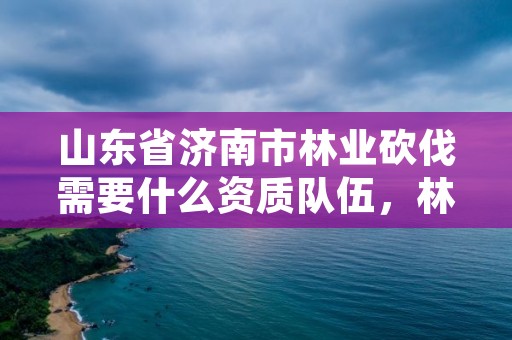 山东省济南市林业砍伐需要什么资质队伍，林木砍伐许可证属于什么许可证