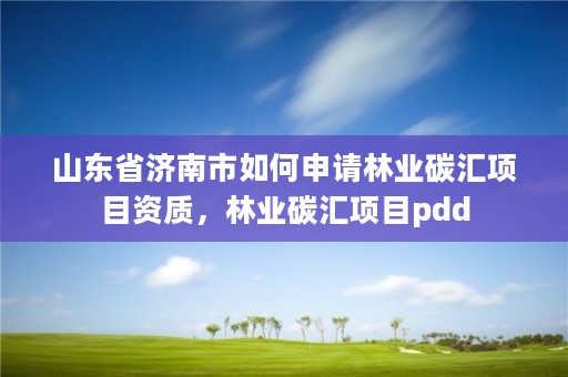 山东省济南市如何申请林业碳汇项目资质，林业碳汇项目pdd
