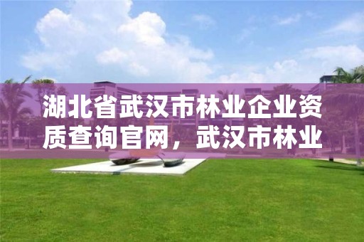 湖北省武汉市林业企业资质查询官网，武汉市林业发展有限责任公司
