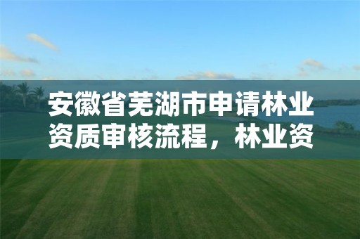 安徽省芜湖市申请林业资质审核流程，林业资质办理