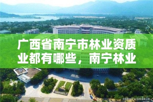 广西省南宁市林业资质业都有哪些,南宁林业厅在哪里