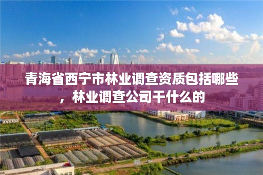 青海省西宁市林业调查资质包括哪些,林业调查公司干什么的