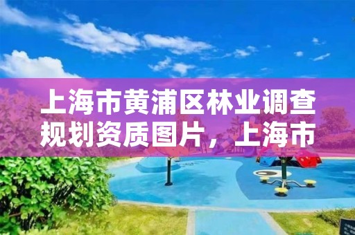 上海市黄浦区林业调查规划资质图片，上海市黄浦区林业调查规划资质图片及名单