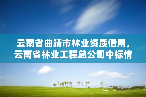 云南省曲靖市林业资质借用，云南省林业工程总公司中标情况