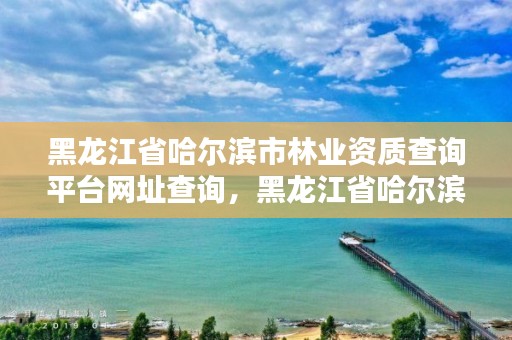 黑龙江省哈尔滨市林业资质查询平台网址查询，黑龙江省哈尔滨市林业局官网