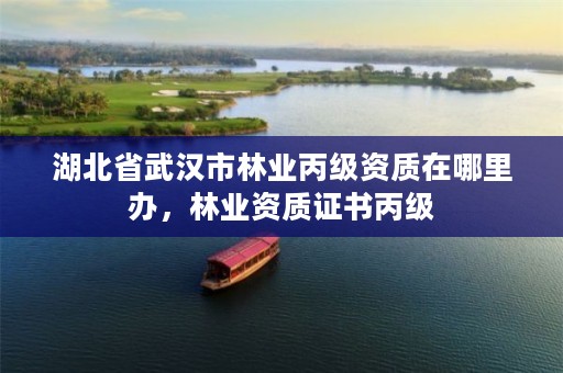 湖北省武汉市林业丙级资质在哪里办，林业资质证书丙级
