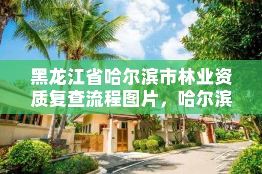 黑龙江省哈尔滨市林业资质复查流程图片，哈尔滨林业调查规划有限公司