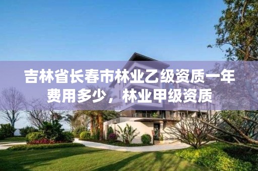 吉林省长春市林业乙级资质一年费用多少，林业甲级资质