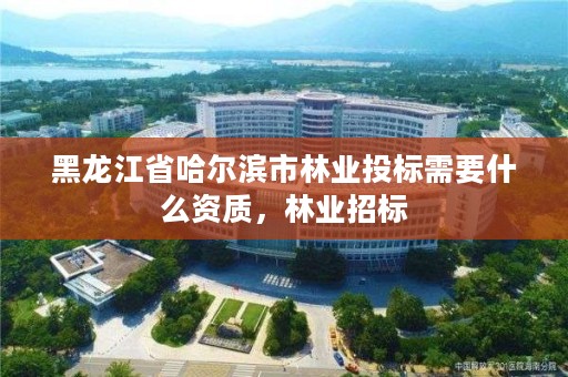 黑龙江省哈尔滨市林业投标需要什么资质，林业招标