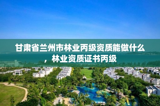甘肃省兰州市林业丙级资质能做什么，林业资质证书丙级