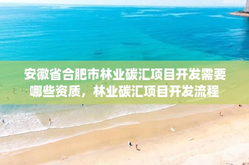 安徽省合肥市林业碳汇项目开发需要哪些资质，林业碳汇项目开发流程