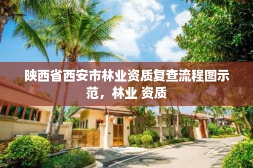 陕西省西安市林业资质复查流程图示范，林业 资质