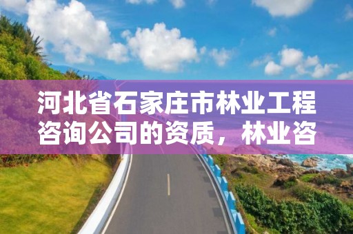 河北省石家庄市林业工程咨询公司的资质，林业咨询有限公司