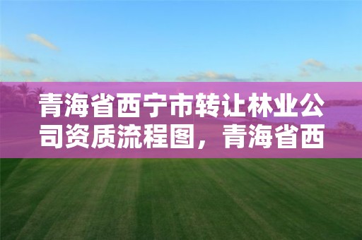 青海省西宁市转让林业公司资质流程图,青海省西宁市转让林业公司资质流程图表