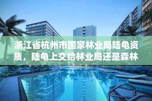 浙江省杭州市国家林业局陆龟资质,陆龟上交给林业局还是森林公安