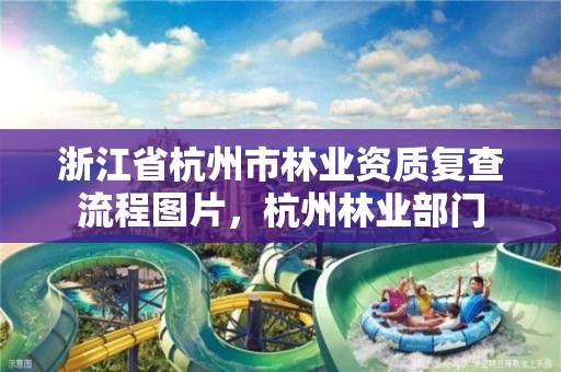 浙江省杭州市林业资质复查流程图片,杭州林业部门