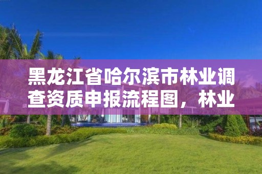 黑龙江省哈尔滨市林业调查资质申报流程图，林业调查资质查询