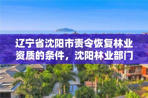 辽宁省沈阳市责令恢复林业资质的条件,沈阳林业部门电话