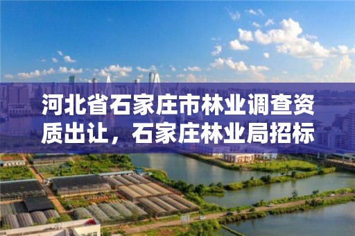河北省石家庄市林业调查资质出让，石家庄林业局招标公告
