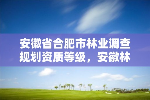 安徽省合肥市林业调查规划资质等级，安徽林业调查规划院