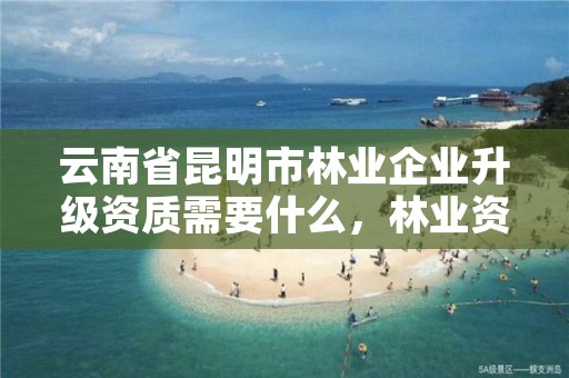 云南省昆明市林业企业升级资质需要什么，林业资质申请