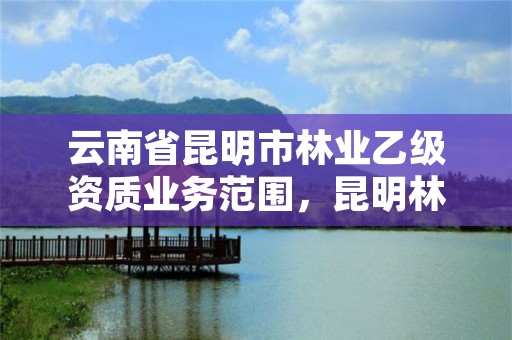 云南省昆明市林业乙级资质业务范围，昆明林业公司招聘