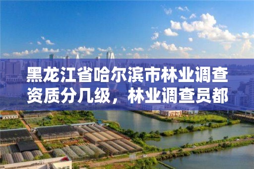 黑龙江省哈尔滨市林业调查资质分几级，林业调查员都干什么