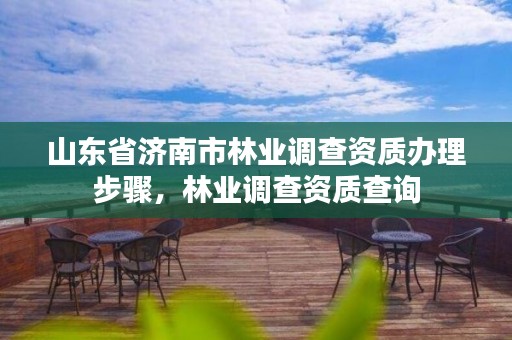 山东省济南市林业调查资质办理步骤，林业调查资质查询