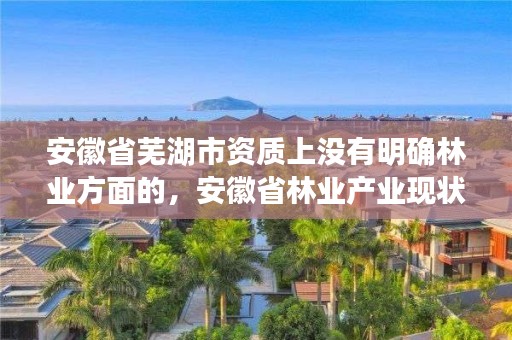 安徽省芜湖市资质上没有明确林业方面的，安徽省林业产业现状及存在的主要问题