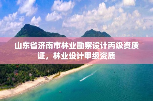 山东省济南市林业勘察设计丙级资质证，林业设计甲级资质