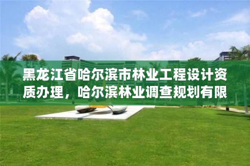 黑龙江省哈尔滨市林业工程设计资质办理，哈尔滨林业调查规划有限公司