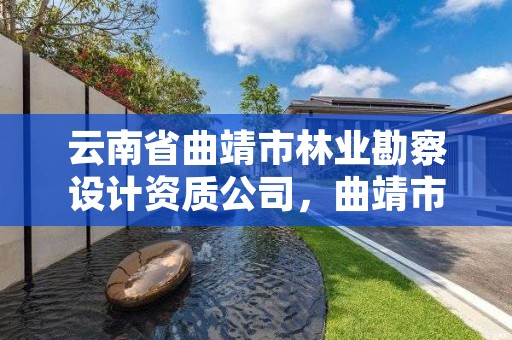 云南省曲靖市林业勘察设计资质公司,曲靖市林业和草原局 2020年招聘人员岗位表