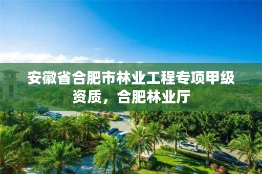 安徽省合肥市林业工程专项甲级资质，合肥林业厅