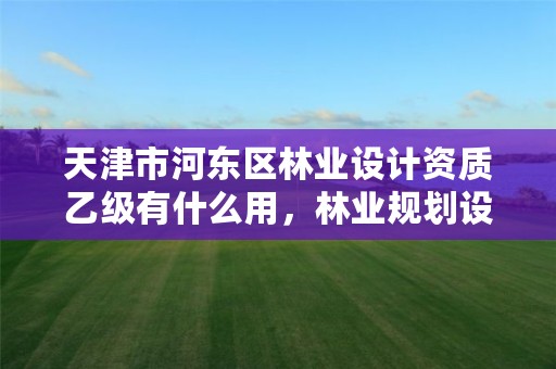 天津市河东区林业设计资质乙级有什么用，林业规划设计乙级资质