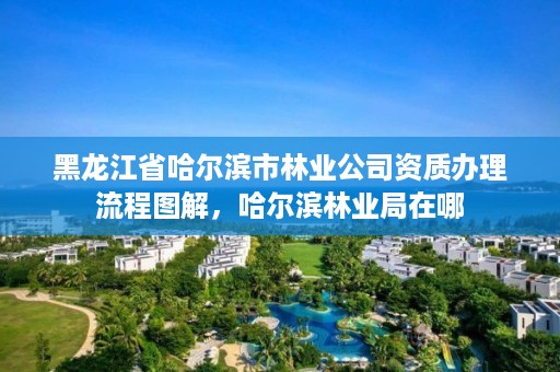 黑龙江省哈尔滨市林业公司资质办理流程图解,哈尔滨林业局在哪
