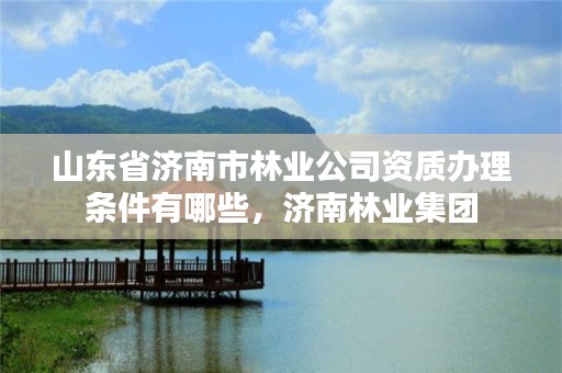 山东省济南市林业公司资质办理条件有哪些，济南林业集团