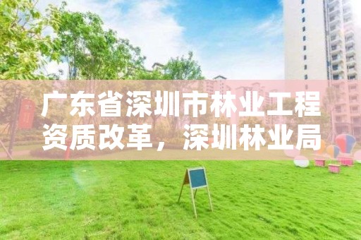 广东省深圳市林业工程资质改革，深圳林业局举报电话