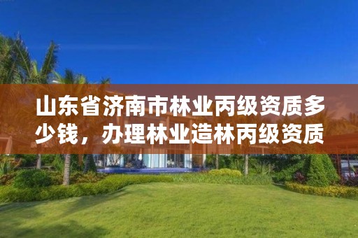 山东省济南市林业丙级资质多少钱，办理林业造林丙级资质费用