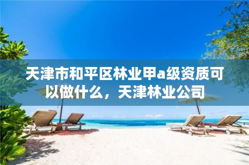 天津市和平区林业甲a级资质可以做什么，天津林业公司