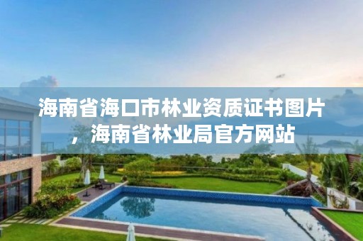 海南省海口市林业资质证书图片，海南省林业局官方网站