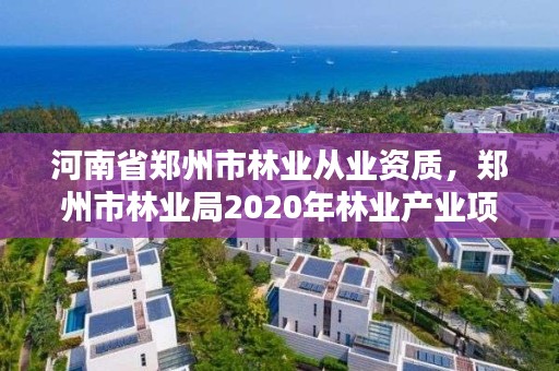 河南省郑州市林业从业资质，郑州市林业局2020年林业产业项目