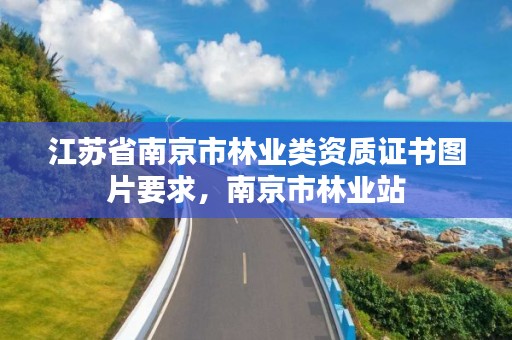 江苏省南京市林业类资质证书图片要求，南京市林业站
