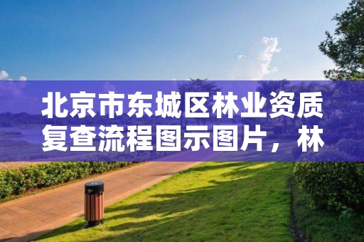 北京市东城区林业资质复查流程图示图片，林业工程资质在哪办
