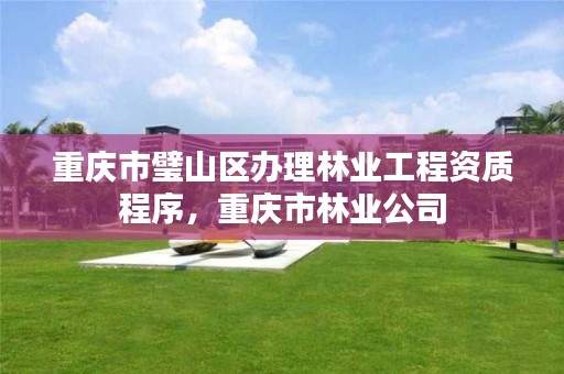 重庆市璧山区办理林业工程资质程序,重庆市林业公司