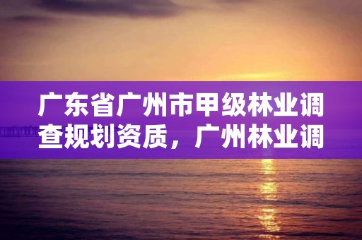 广东省广州市甲级林业调查规划资质，广州林业调查规划院
