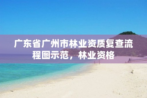 广东省广州市林业资质复查流程图示范，林业资格