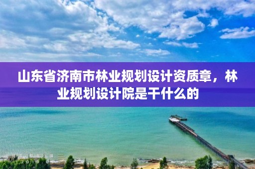 山东省济南市林业规划设计资质章，林业规划设计院是干什么的